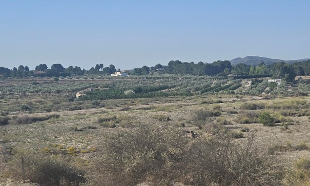 Sprzedaż - Działka Grunt -
SAX