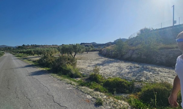 Sprzedaż - Działka Grunt -
SAX