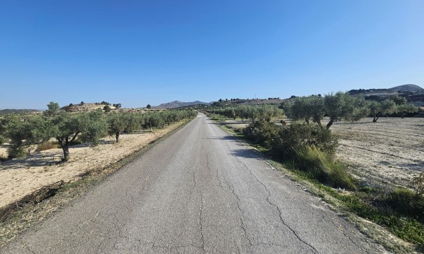 Sprzedaż - Działka Grunt -
SAX