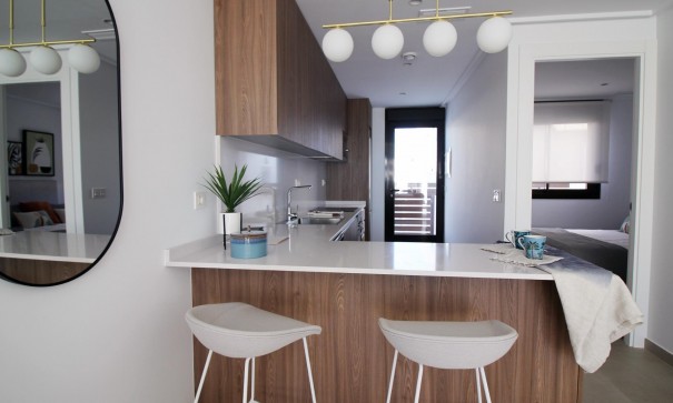 Nouvelle construction - Stadswoning -
Pilar de la Horadada - parque Andromeda