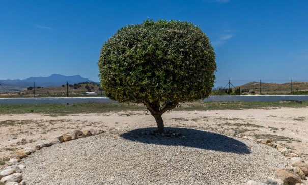 Videresalg - Finca landejendom -
Torre del Rico - Torre Del Rico
