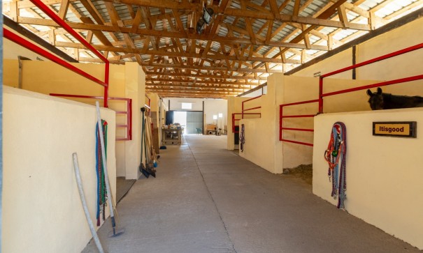 Videresalg - Finca landejendom -
Torre del Rico - Torre Del Rico