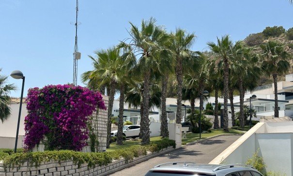 Sale - Detached Villa -
San Miguel de Salinas - San Miguel Salinas