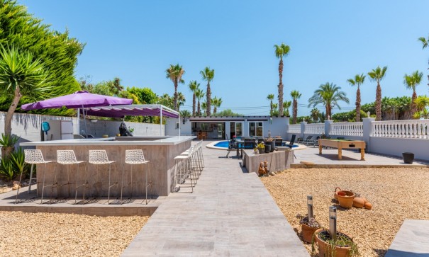 Venta - Finca Propiedad rural -
Catral