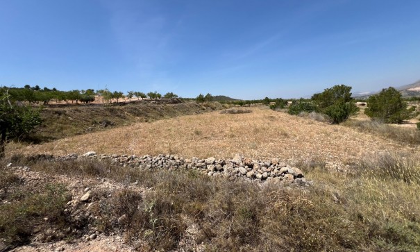 Herverkoop - Perceel Grond -
Barbarroja