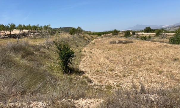 Herverkoop - Perceel Grond -
Barbarroja