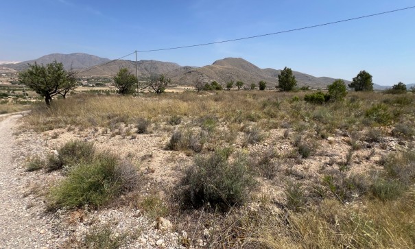 Herverkoop - Perceel Grond -
Barbarroja