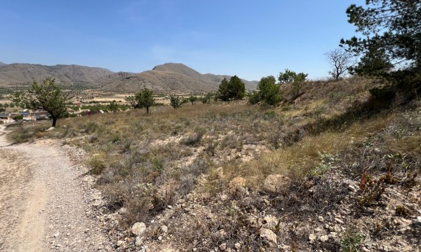 Herverkoop - Perceel Grond -
Barbarroja