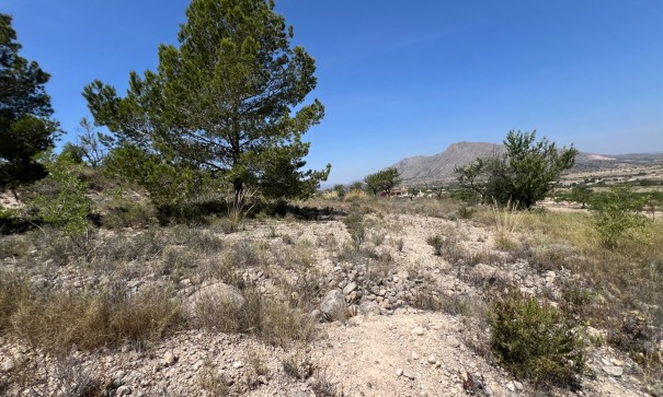 Herverkoop - Perceel Grond -
Barbarroja