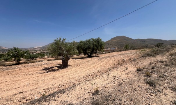 Herverkoop - Perceel Grond -
Barbarroja