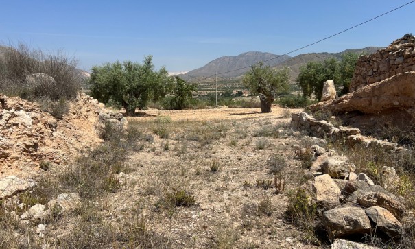 Herverkoop - Perceel Grond -
Barbarroja