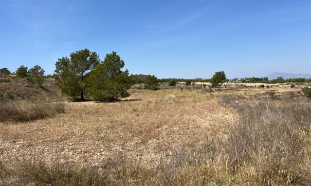 Resale - Grundstück Grundstück -
Barbarroja