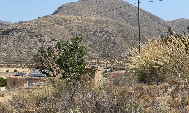 Resale - Grundstück Grundstück -
Barbarroja