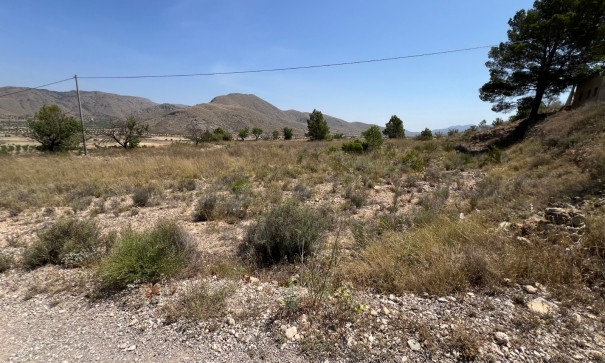 Resale - Grundstück Grundstück -
Barbarroja