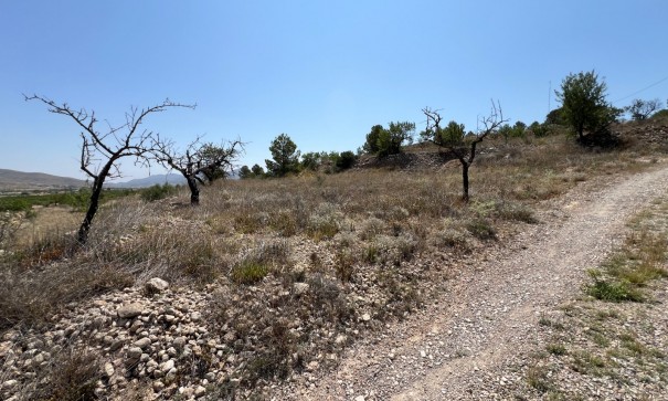 Resale - Grundstück Grundstück -
Barbarroja