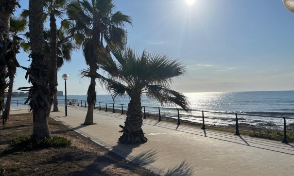 Venta - Apartamento piso -
Torrevieja