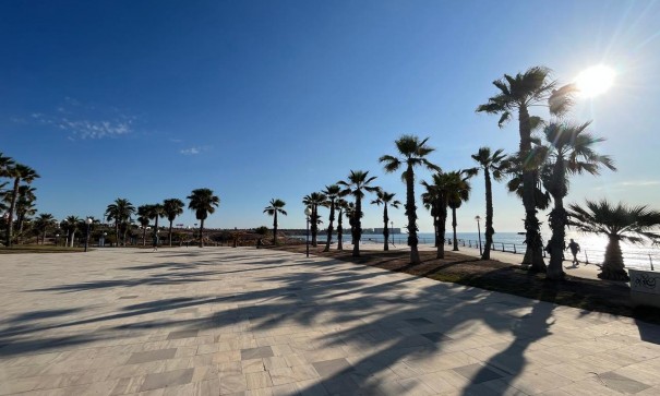 Venta - Apartamento piso -
Torrevieja