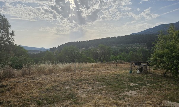 Resale - Finca Landgut -
Alcoy