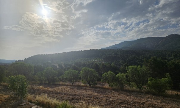 Resale - Finca Landgut -
Alcoy