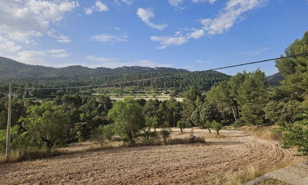 Resale - Finca Landgut -
Alcoy