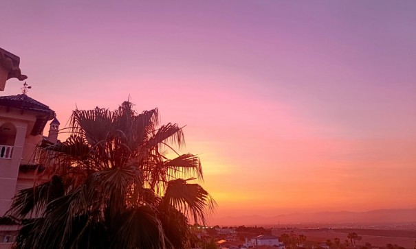 Sale - Detached Villa -
Algorfa - Lomas de Juliana