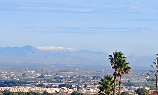 Sale - Detached Villa -
Algorfa - Lomas de Juliana