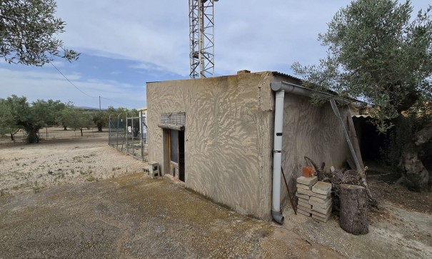 Revente - Projet d'investissement -
SAX