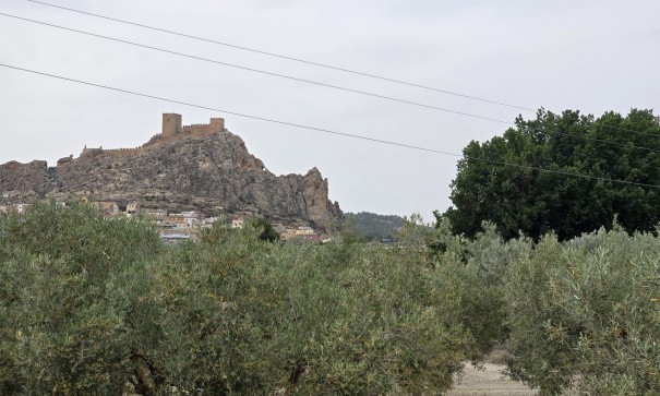 Revente - Projet d'investissement -
SAX