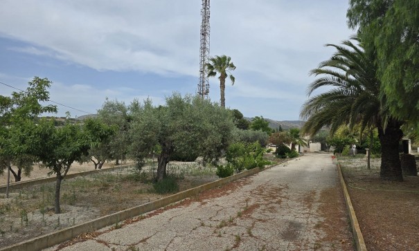 Revente - Projet d'investissement -
SAX