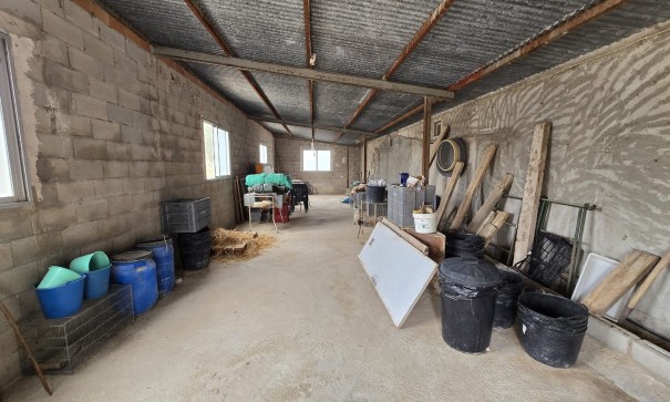 Revente - Projet d'investissement -
SAX