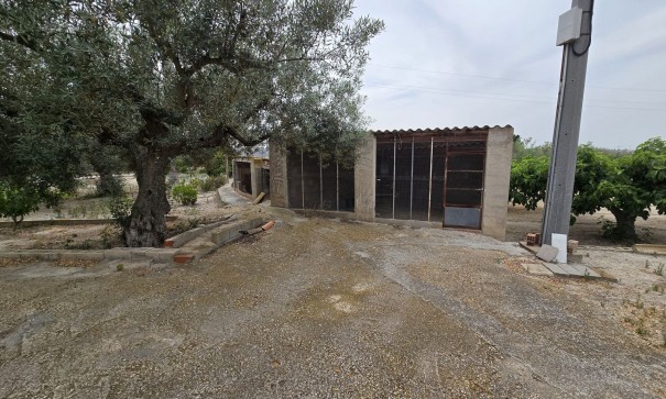 Revente - Projet d'investissement -
SAX