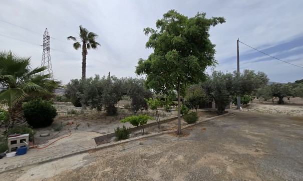 Revente - Projet d'investissement -
SAX