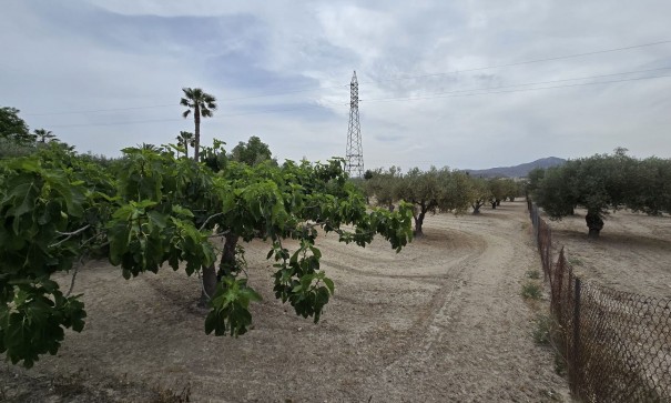 Revente - Projet d'investissement -
SAX