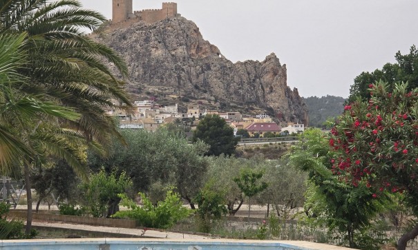 Revente - Projet d'investissement -
SAX