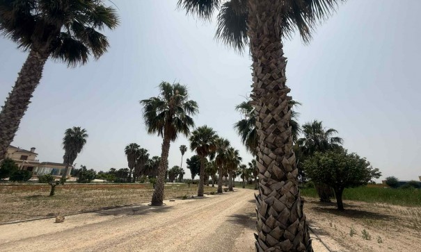Sale - Finca Country Property -
Almoradí