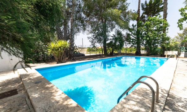 Sale - Finca Country Property -
Orihuela - Arneva - Las Norias