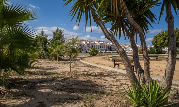 Sprzedaż - Dom miejski -
Los Altos