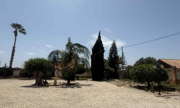Resale - Finca Landgut -
Catral