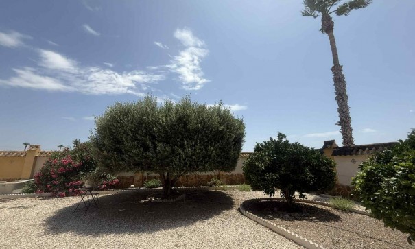 Resale - Finca Landgut -
Catral