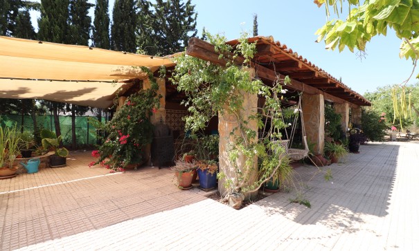 Sale - Finca Country Property -
Catral - Catral - Country