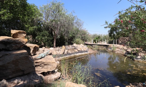 Sale - Finca Country Property -
Catral - Catral - Country