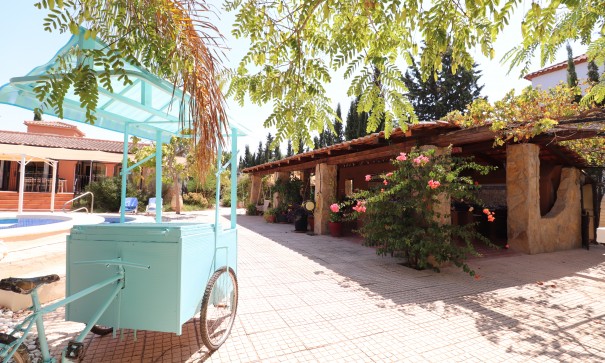 Sale - Finca Country Property -
Catral - Catral - Country