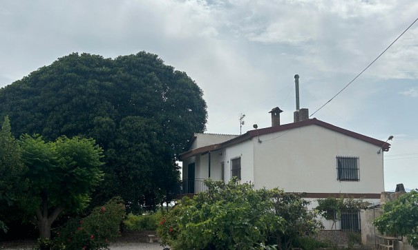 Herverkoop - Finca Landelijk pand -
Crevillente