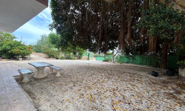 Herverkoop - Finca Landelijk pand -
Crevillente