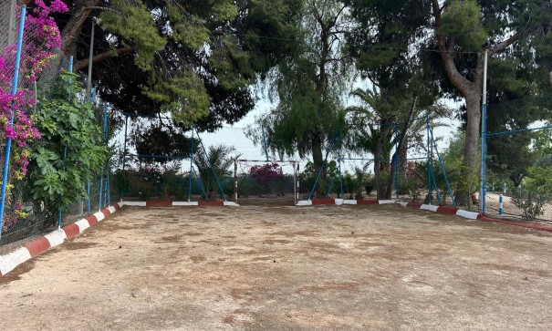 Venta - Finca Propiedad rural -
Crevillente