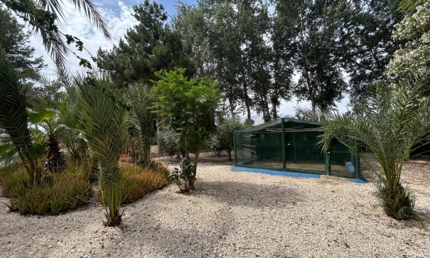 Venta - Finca Propiedad rural -
Crevillente