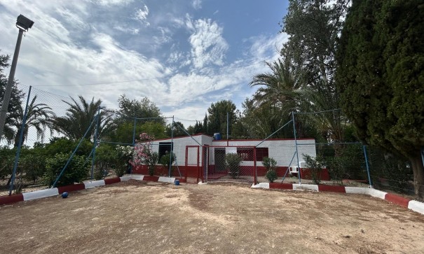 Venta - Finca Propiedad rural -
Crevillente