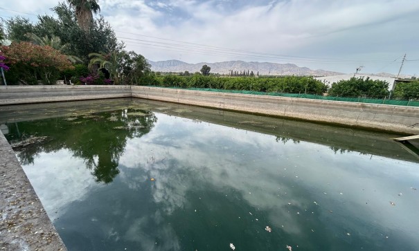 Venta - Finca Propiedad rural -
Crevillente