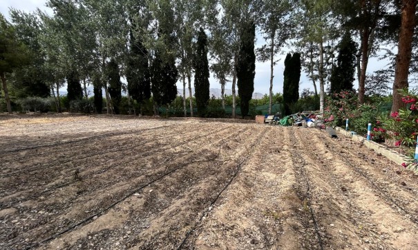 Venta - Finca Propiedad rural -
Crevillente