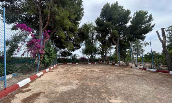 Venta - Finca Propiedad rural -
Crevillente